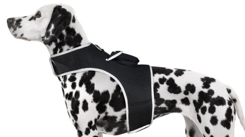 Mini Dog Tracking Collar Mount Device w/ Rechargeable Battery + Sturdy Exterior Size:XS