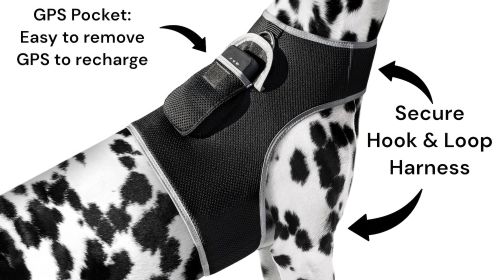 Movement Sensor Dog Collar Tracking Device Waterproof GPS Pet Locator Size:XS